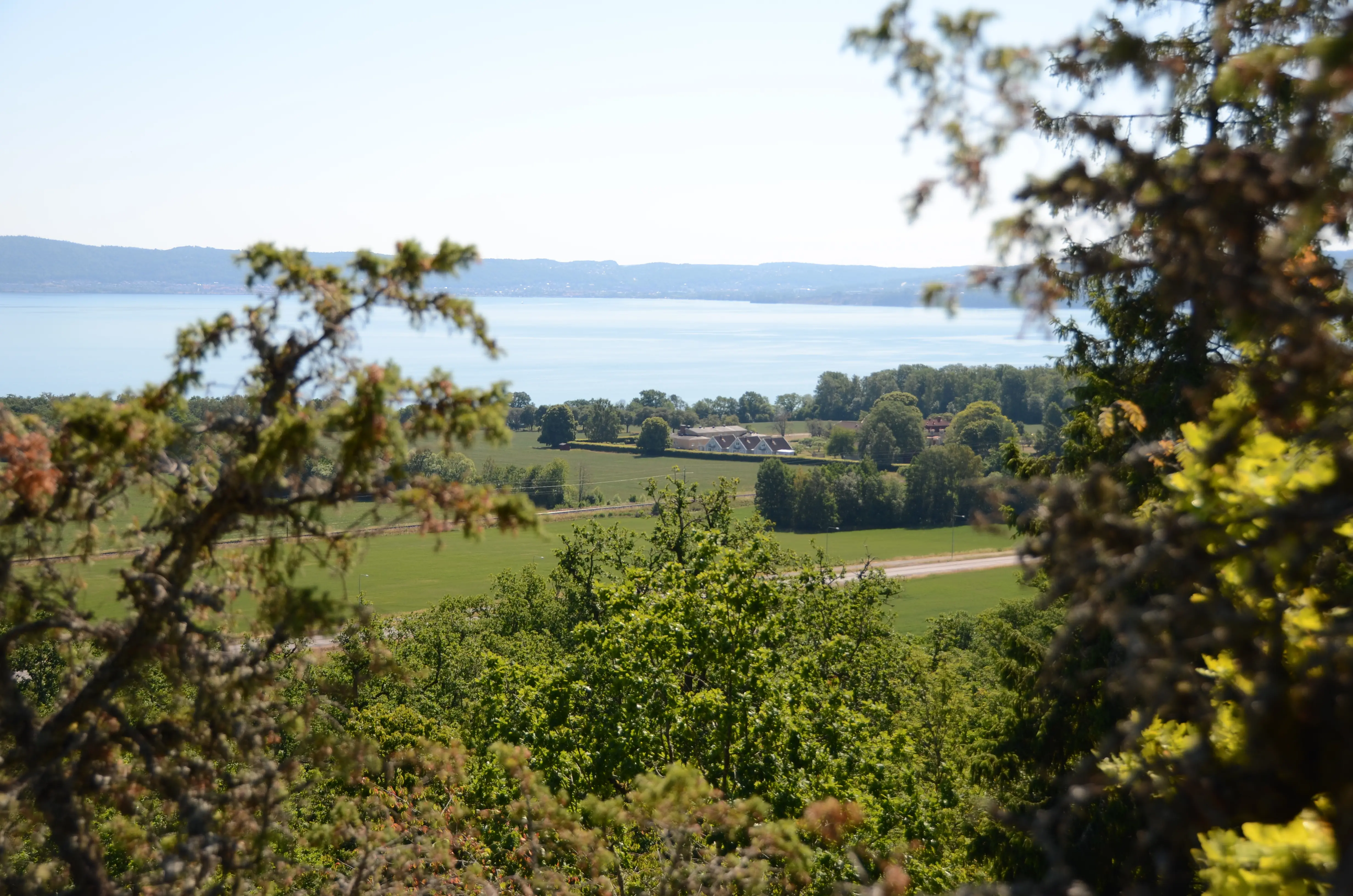 Utsikt över Vättern med grönska i förgrunden.