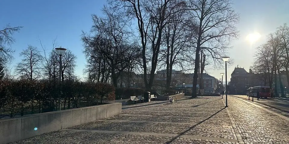 En öppen torgyta med kullersten, omgiven av träd som ännu inte grönskar.
