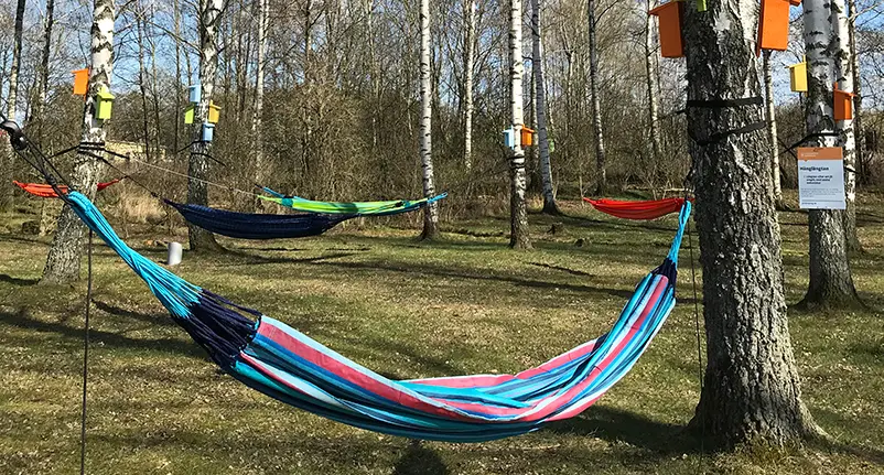 Hängmattor och färgglade fågelholkar i björkdunge.