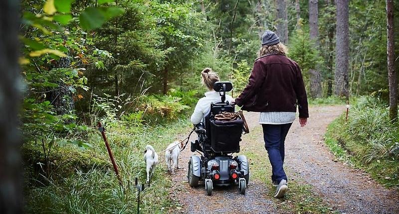 Rullstolsburen kvinna och en man är ute på promenad i naturen med 2 små hundar.