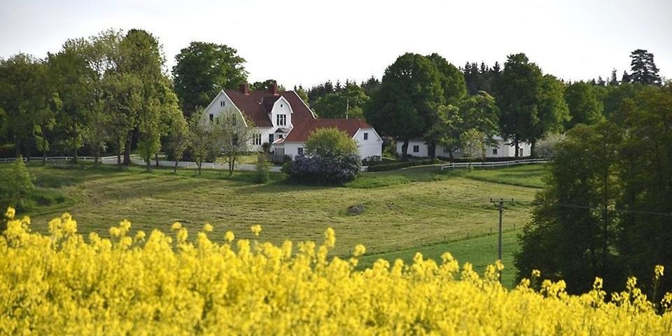 Framför Tolarps gård breder grönområde ut sig. På bilden syns även grönskande träd och gula blommor.