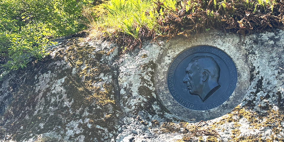 Reliefen i berg som ett porträtt av Karnell