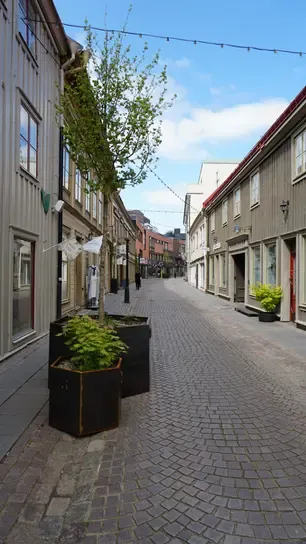 Stora krukor med ett träd respektive mindre växt. De är placerade på en gata som vid tillfället är folktom.