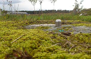 Stompunkt på en grön yta.