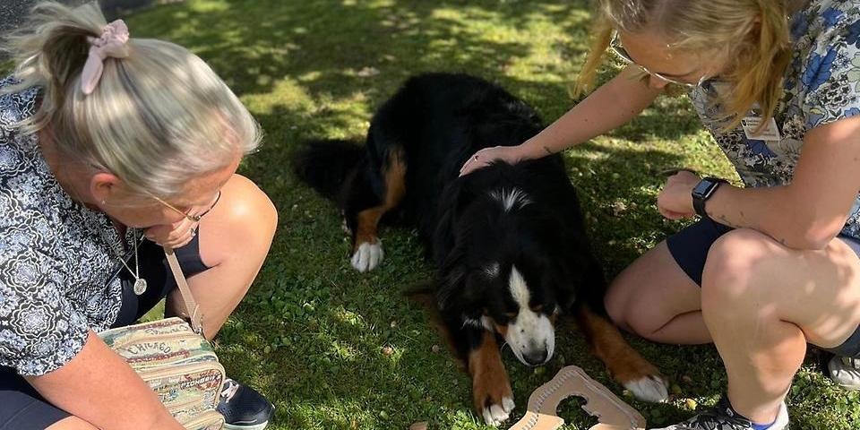 Två personer och en stor hund sitter på gräset.