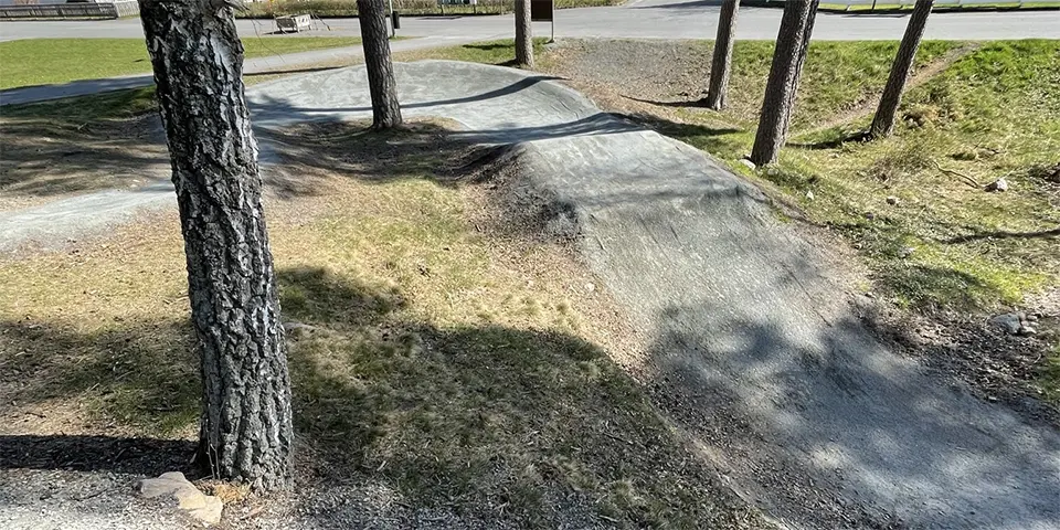 En cykel-pumptrack i skogsdunge med trädstammar.