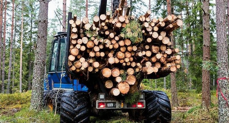 traktor i skogen med träd på ett släp.