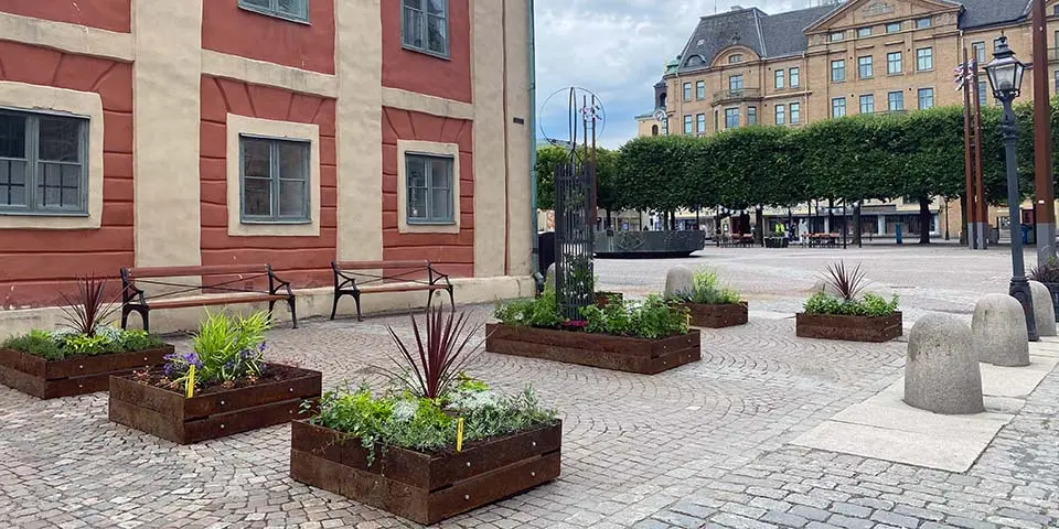 Sju odlingslådor med olika sorters växter står på Hovrättstorget.