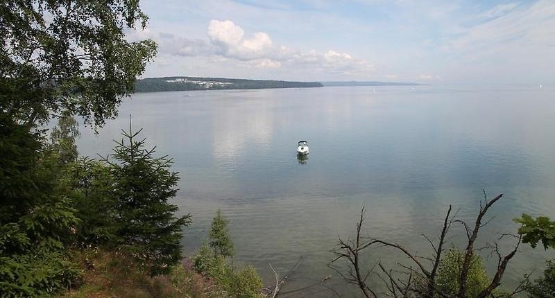 Träd i förgrunden och utsikt över Vättern. På sjön syns en båt.