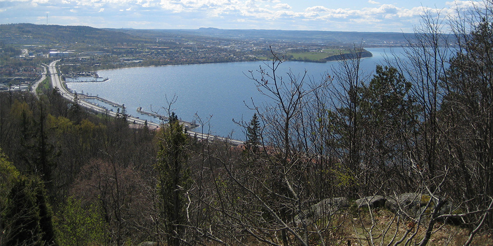 Vybild över stad och Vättern, träd och grönska i förgrunden,