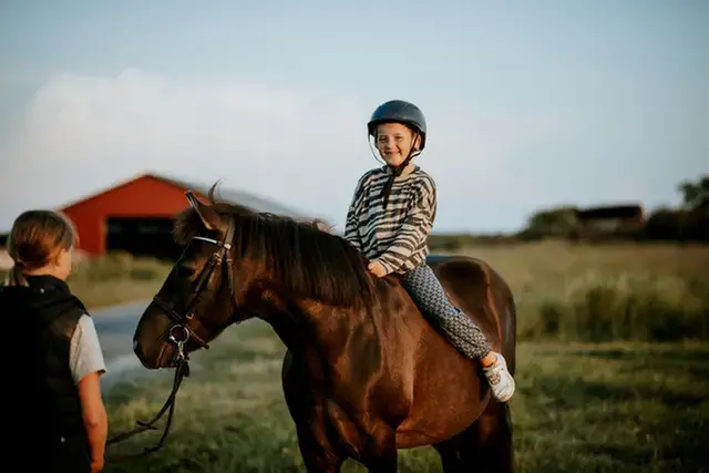 Barn i randig tröja sitter på en häst i naturen.