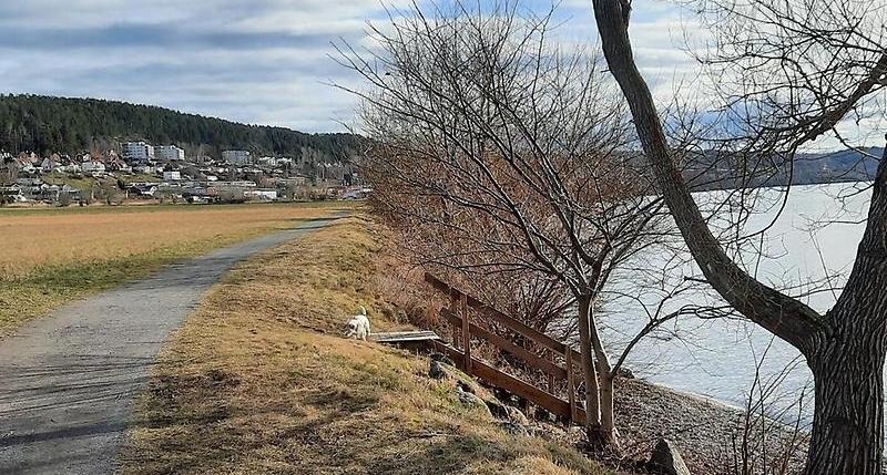 Grusväg med trappa ner till stranden vid Vättern. 