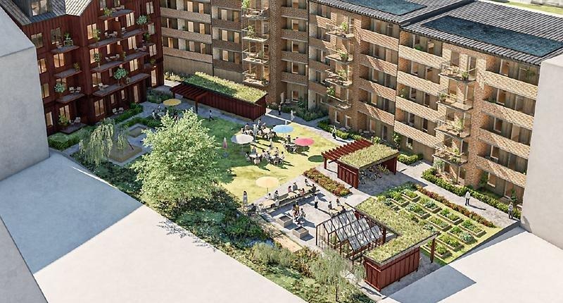 Överblick över flerbostadhus med grönskande innegård.