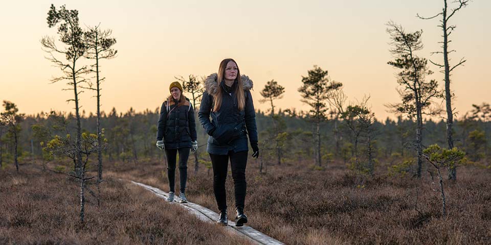 Två personer går på spång på Dumme mosse.