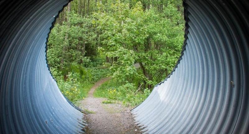 En tunnel leder ut på leden bland gröna buskar och träd. 