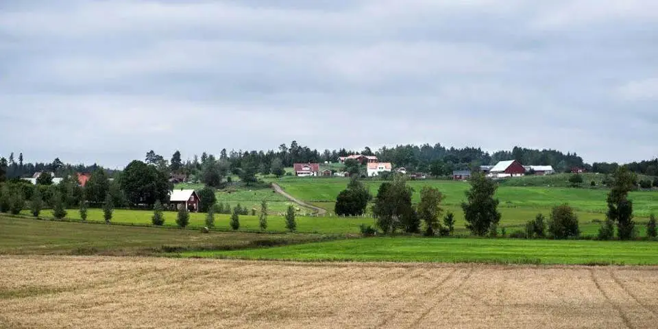 Landsbygd med en åker  förgrunden med träd och byggnader längre bort.