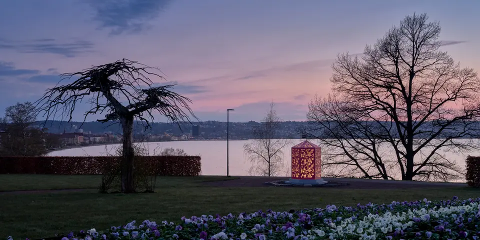 Bild på konstverket Rosenlust i kvällsljus