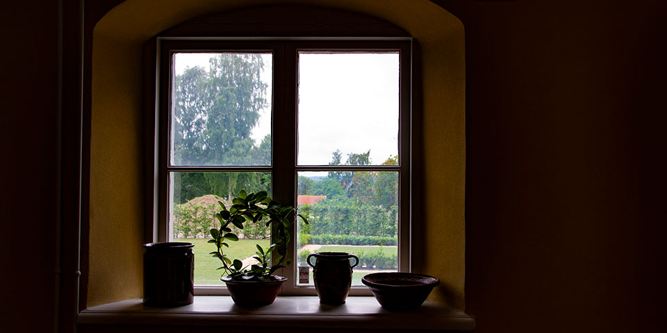 Fönster utsikt över trädgård.
