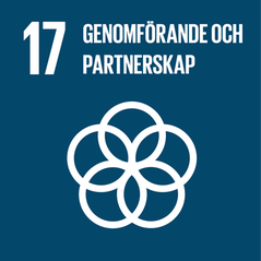 Symbol med fem ringar för Globalt mål nr 17 om genomförande och partnerskap.