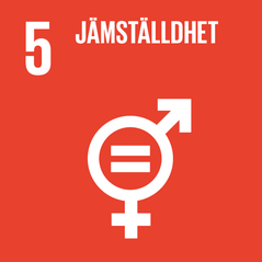 Ikon med likhetstecken och könssymbol för globalt mål nr 5; Jämställdhet.