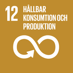 Symbol med evighetstecken för globalt mål nr 12 om hållbar konsumtion och produktion.