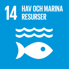 Symbol med fisk för globalt mål nr 14 om hav och marina resurser.