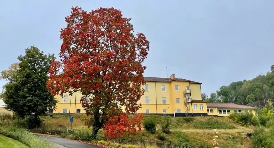 Slättenskolan med gul fasad och träd i höstfärger framför
